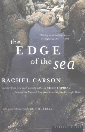 The Edge of the Sea