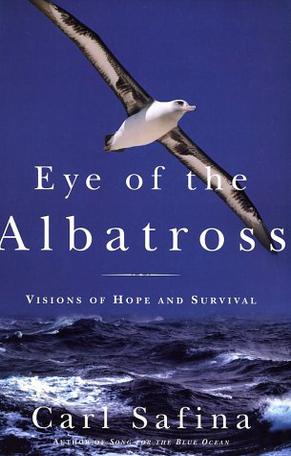 Eye of the Albatross