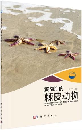 黄渤海的棘皮动物