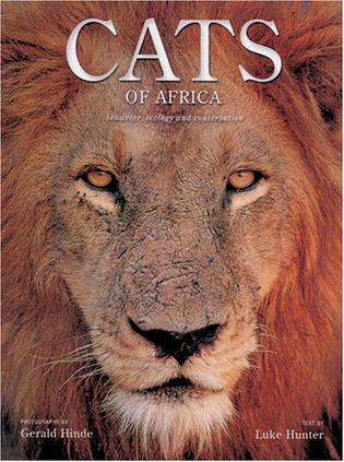 Cats Of Africa