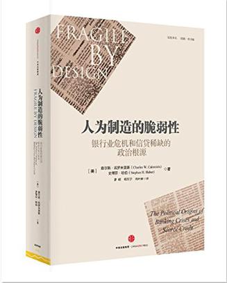 Book Cover: 人为制造的脆弱性