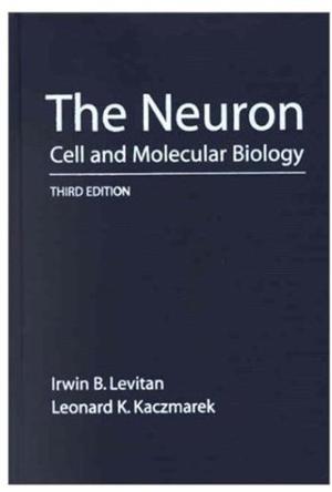 The Neuron