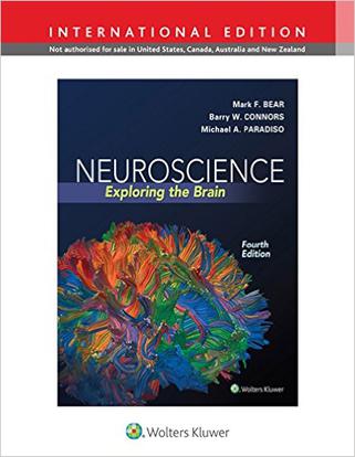Neuroscience: Exploring the Brain, 4th, international edition