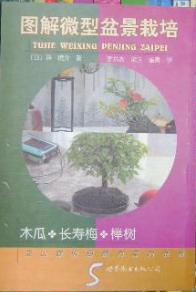 图解微型盆景栽培 5 木瓜·长寿梅·榉树