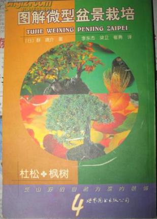 图解微型盆景栽培 4 杜松·枫树