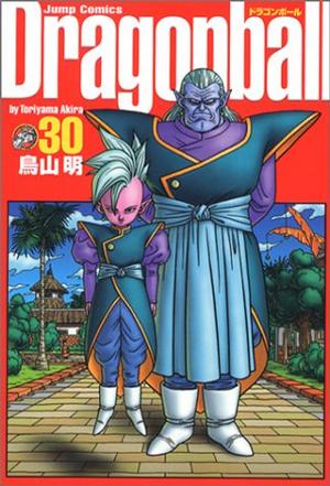 ドラゴンボール―完全版 30