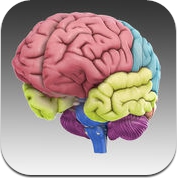 3D Brain (iPhone / iPad)