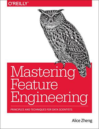 Feature Engineering for Machine Learning Models