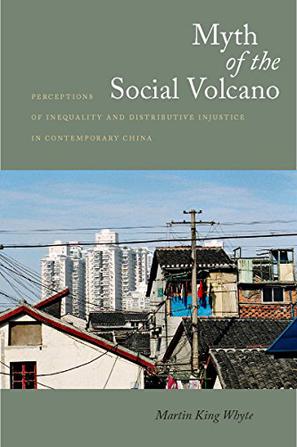 Myth of the Social Volcano