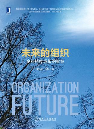 未来的组织：企业持续成长的智慧