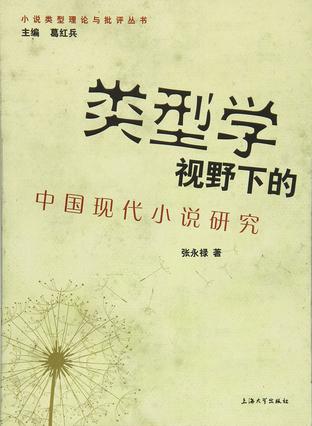 类型学视野下的中国现代小说研究