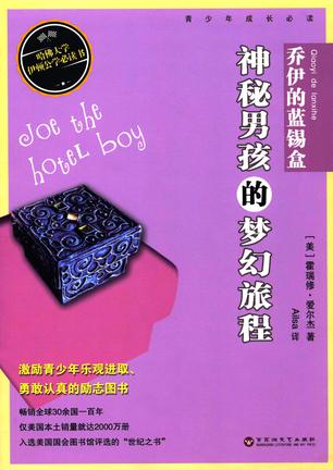 乔伊的蓝锡盒:神秘男孩的梦幻旅程