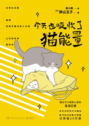 今天也吸收了猫能量书籍封面