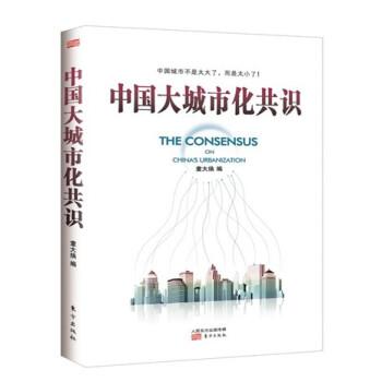 中国大城市化共识
