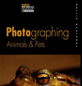 动物与宠物摄影
