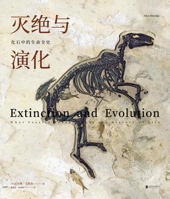 《灭绝与演化》txt，chm，pdf，epub，mobi电子书下载