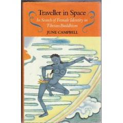 Traveller in Space