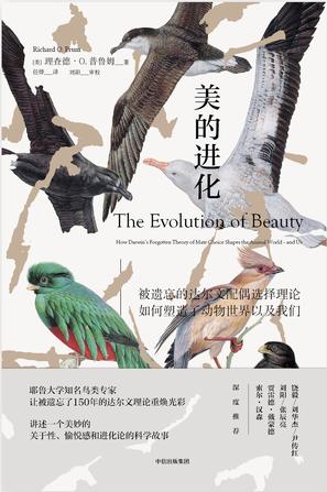 美的进化书籍封面