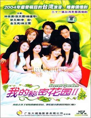 我的秘密花园Ⅱ三十一集台湾青春偶像剧28碟装(VCD)