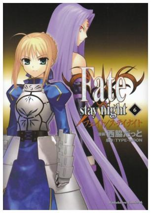 Fate/stay night (6) (角川コミックス・エース 150-7)