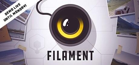 钨丝 Filament