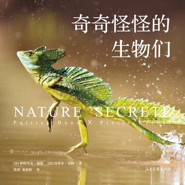 奇奇怪怪的生物们epub+pdf+mobi