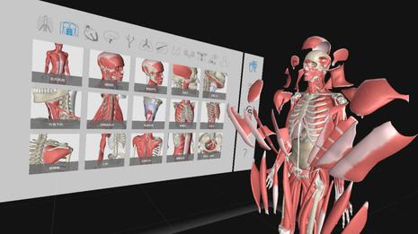 3D人体解剖 3D Organon VR Anatomy