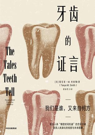 牙齿的证言 牙齿的证言