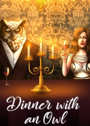 与猫头鹰共进晚餐 Dinner With An Owl