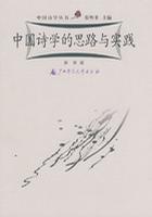 中国诗学的思路与实践