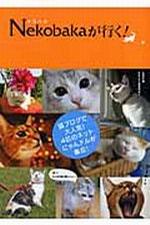 愛貓生活物語－貓咪部落格的四隻人氣貓
