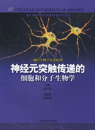 神经元突触传递的细胞和分子生物学