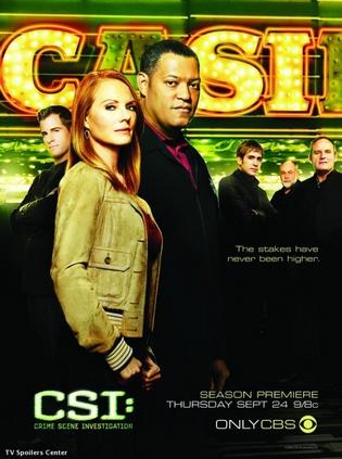 犯罪现场调查 第十季 CSI: Crime Scene Investigation Season 10