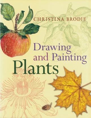 Drawing and Painting Plants