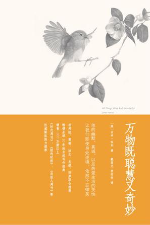 Book Cover: 万物既聪慧又奇妙