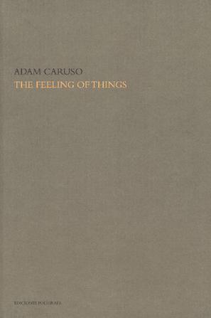 The Feeling of Things By Adam Caruso