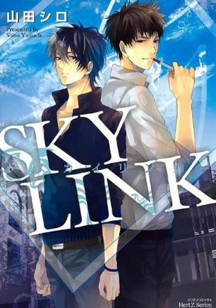 SKY LINK (ミリオンコミックス HertZシリーズ)
