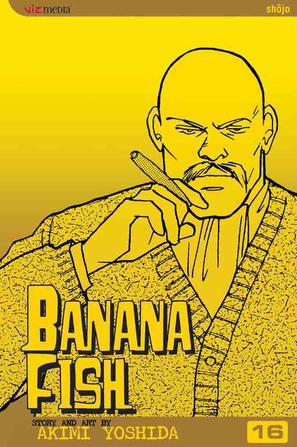 Banana Fish, Volume 16 (Banana Fish (Graphic Novels))