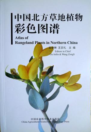 中国北方草地植物彩色图谱