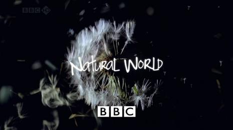 The Natural World