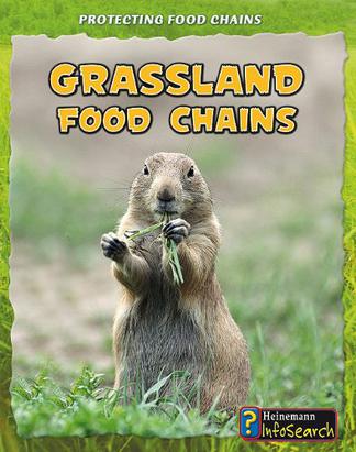 Grassland Food Chains