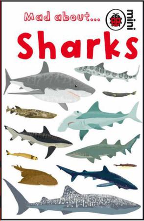 Mad About Sharks 小瓢虫书系-让人着迷的鲨鱼