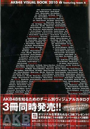 AKB48 VISUAL BOOK 2010 featuring team A