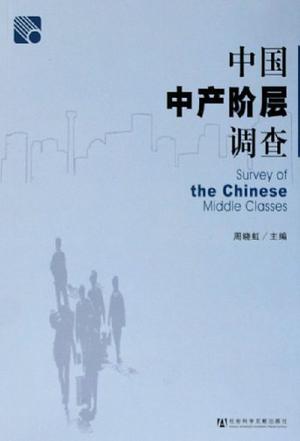 中国中产阶层调查