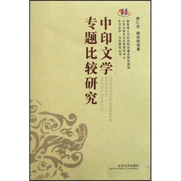 中印文学专题比较研究/东方文学文化研究丛书