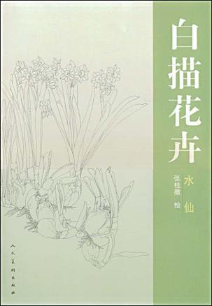 水仙-白描花卉