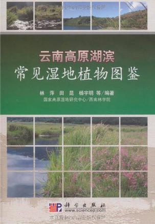 云南高原湖滨常见湿地植物图鉴