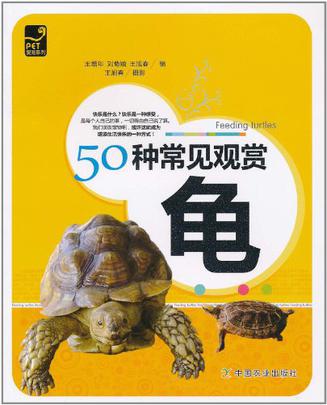 50种常见观赏龟