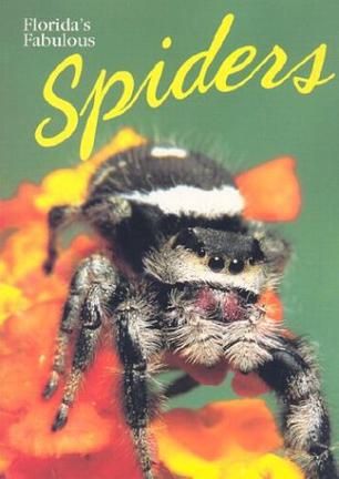 Florida S Fabulous Spiders