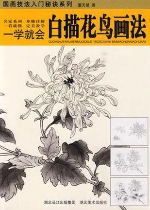 国画技法入门秘诀系列-一学就会.白描花鸟画法